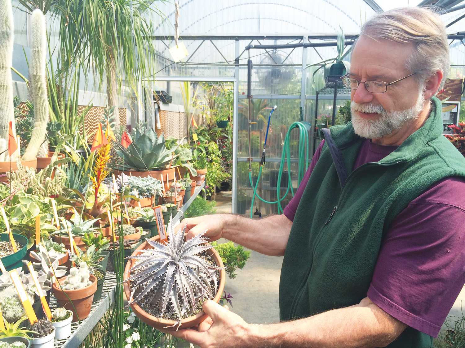 Working with the plants: Greenhouse prepares for fall plant sale