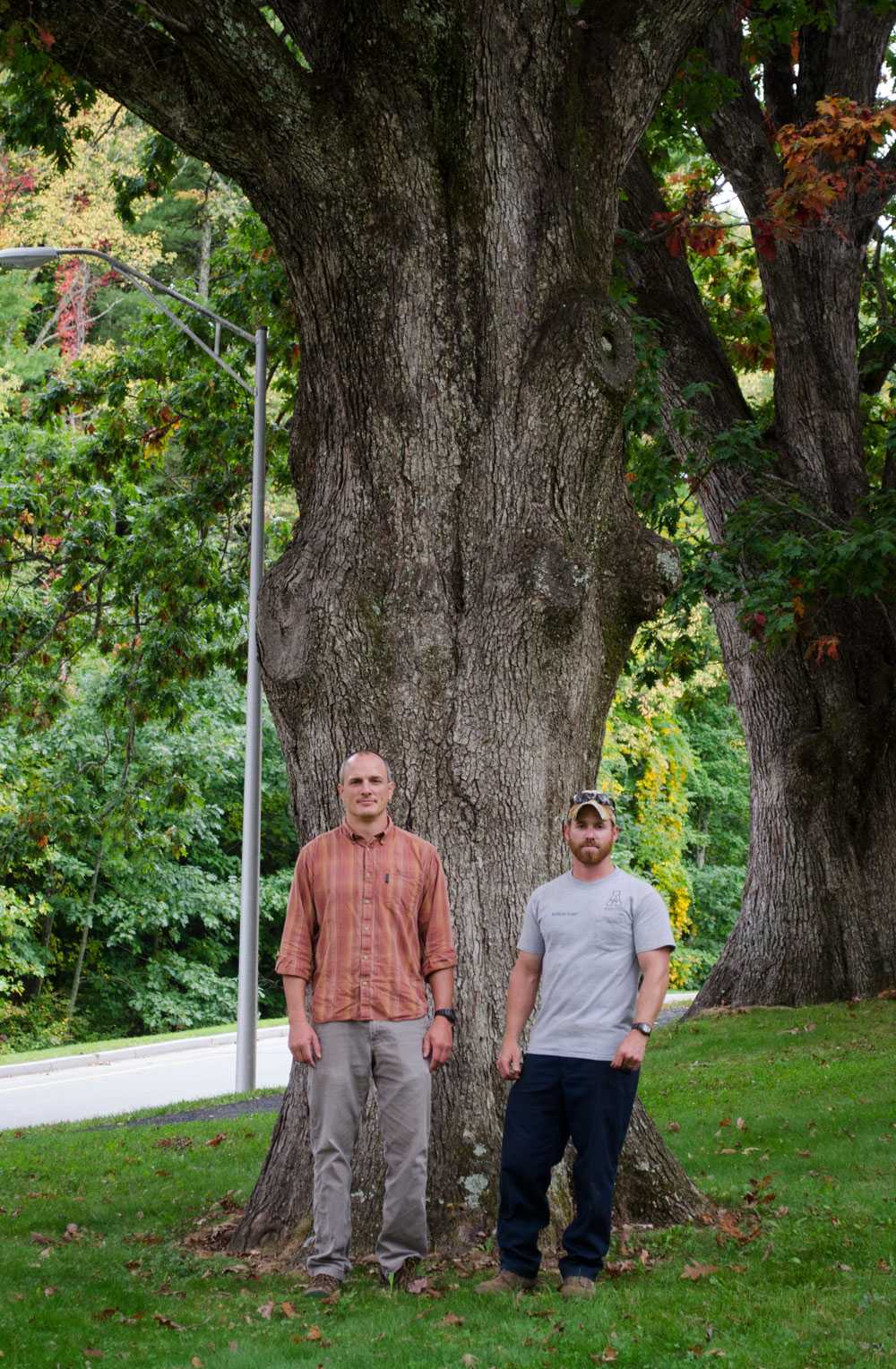 Biology associate professor Mike Madritch (left) and horticultural specialist Jason Harkey (right) standing between John A. Garwood Hall and Justice Residence Hall with two of the biggest trees in the tree certification. Photo by Morgan Cook  |  The Appalachian