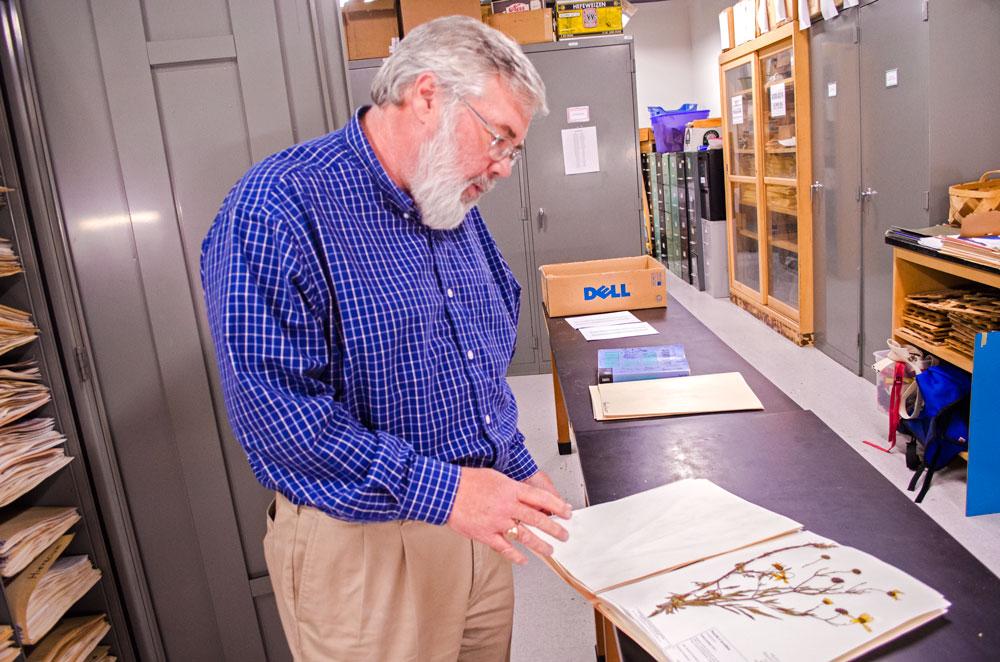 Professor Zach Mueller in the herbarium in Rankin Science South Wednesday afternoon. Mueller has been granted millions of dollars by The National Science Foundation to digitize specimens into a database. Photo by Morgan Cook  |  The Appalachian