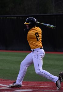 Senior Brain Bauk takes a swing at the ball during a home game last season.