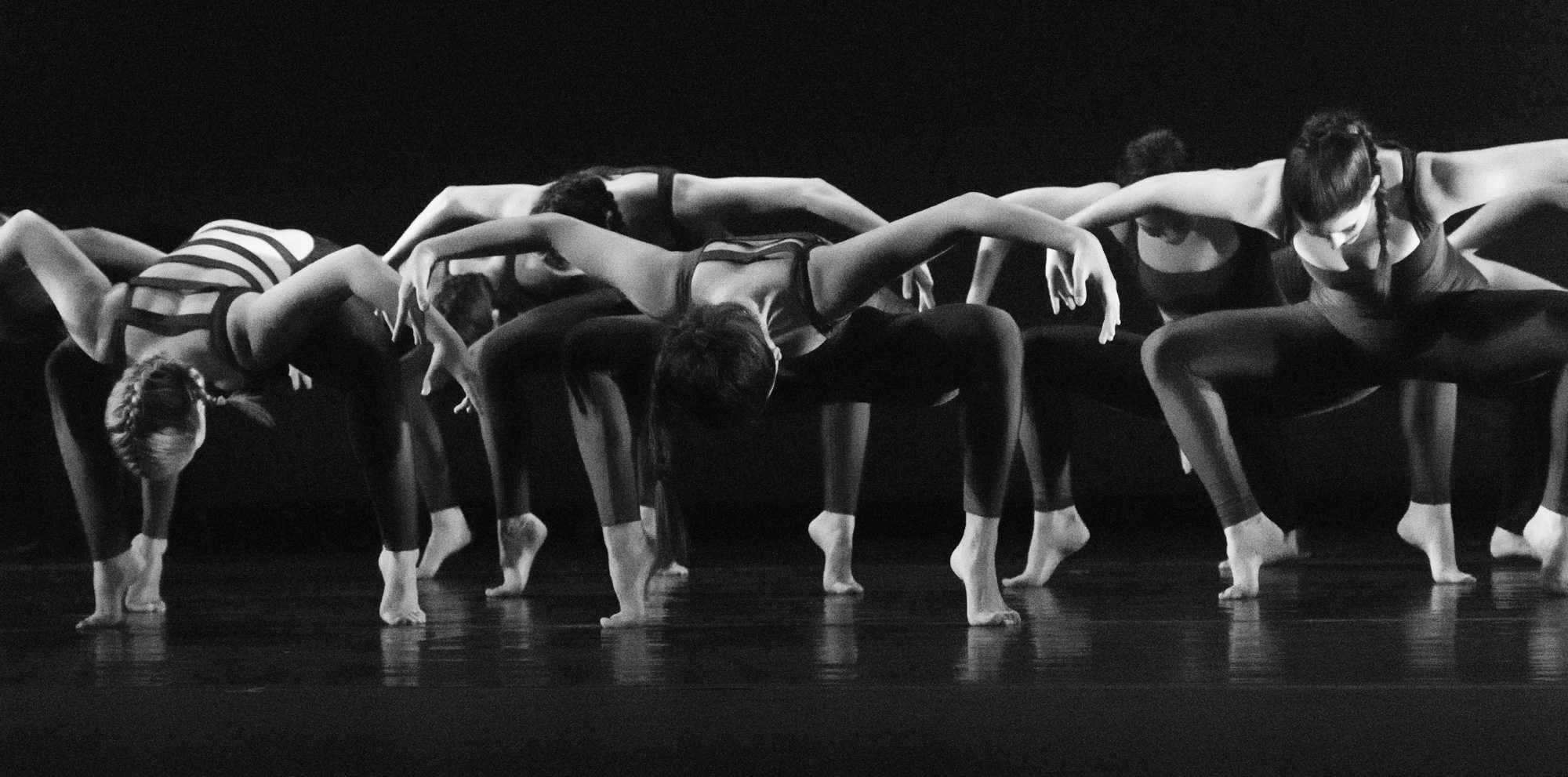 Dancers perform senior lecturer and choreographer Regina Gulick's piece titled "Elegy." Photo by Dallas Linger.