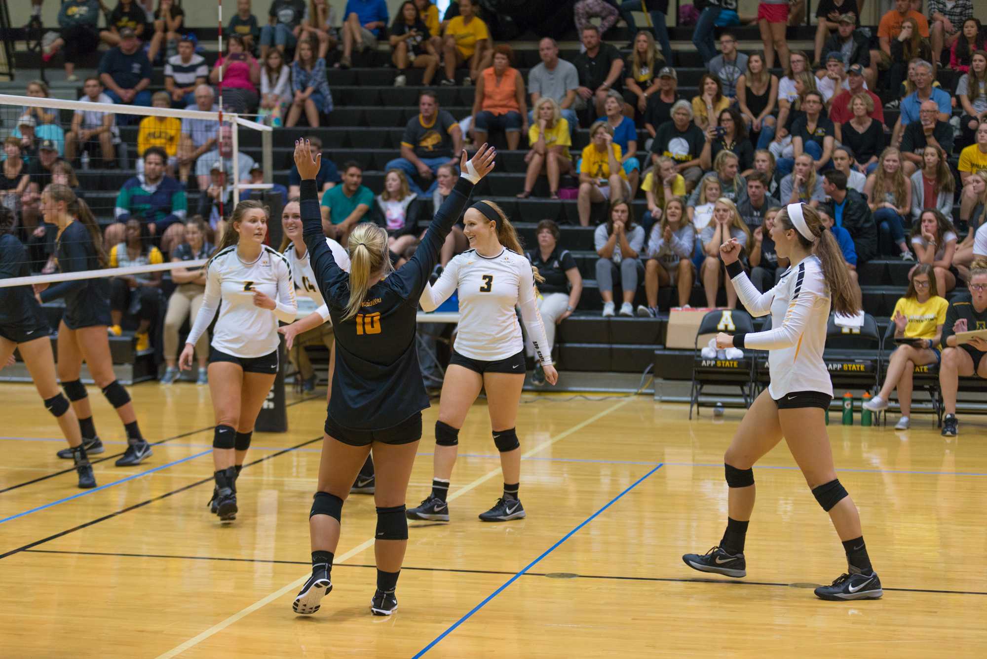Senior Libero/Defensive Specialist Olivia Reed celebrates with her team during the exhibition on Sunday. The gold team won 4-0. Reed was the only senior of four on the team who played as the others are injured or recovering from surgery. Photo by Dallas Linger, Photo Editor