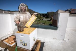 James Wilkes attending to the beehive located on top of Roses Dining Hall.