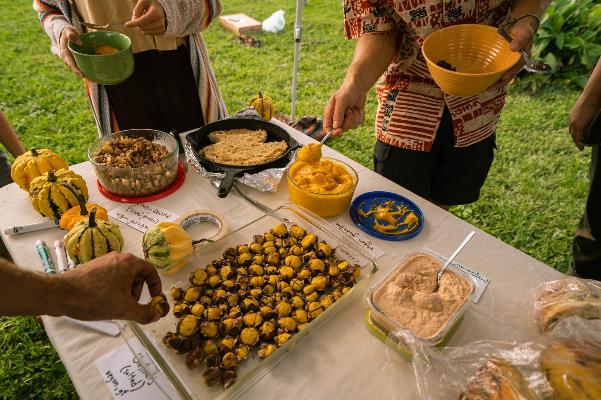 The table spread at the Equinox Harvest Celebration featuring food entirely grown on campus gardens or sourced from local producers. Pictured is pumpkin dip, salted chestnuts, cashew spread, Stick Boy bread, greasy beans, vegan cornbread and garden grown gourds. 
