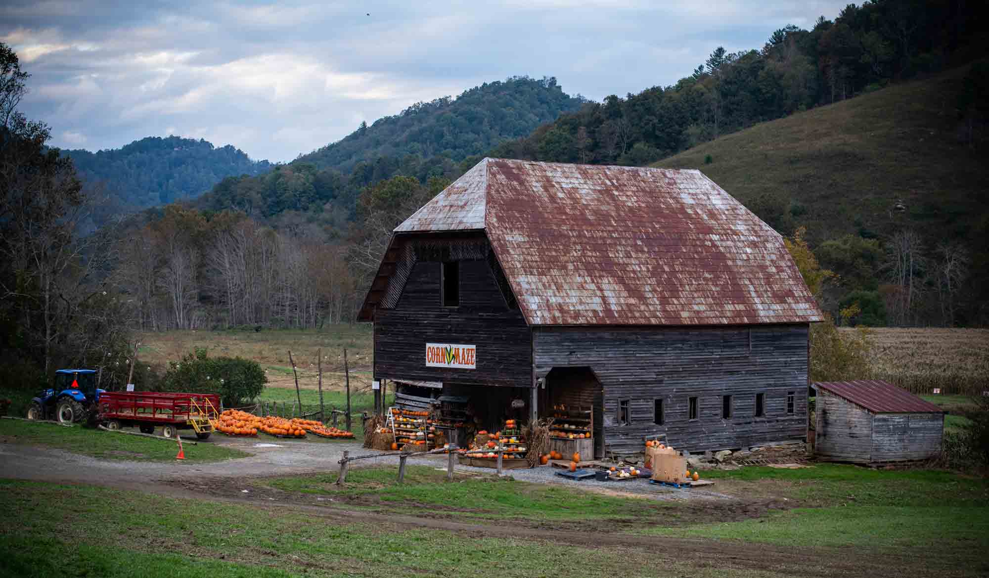 A fall day at Harvest Farm's pumpkin patch in Valle Crucis.