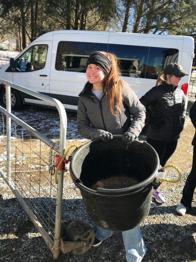 Madison Moyer providing a helping hand. Moyer volunteered her time at Horse Helpers of the High Country for the MLK Challenge on Martin Luther King Jr. Day.