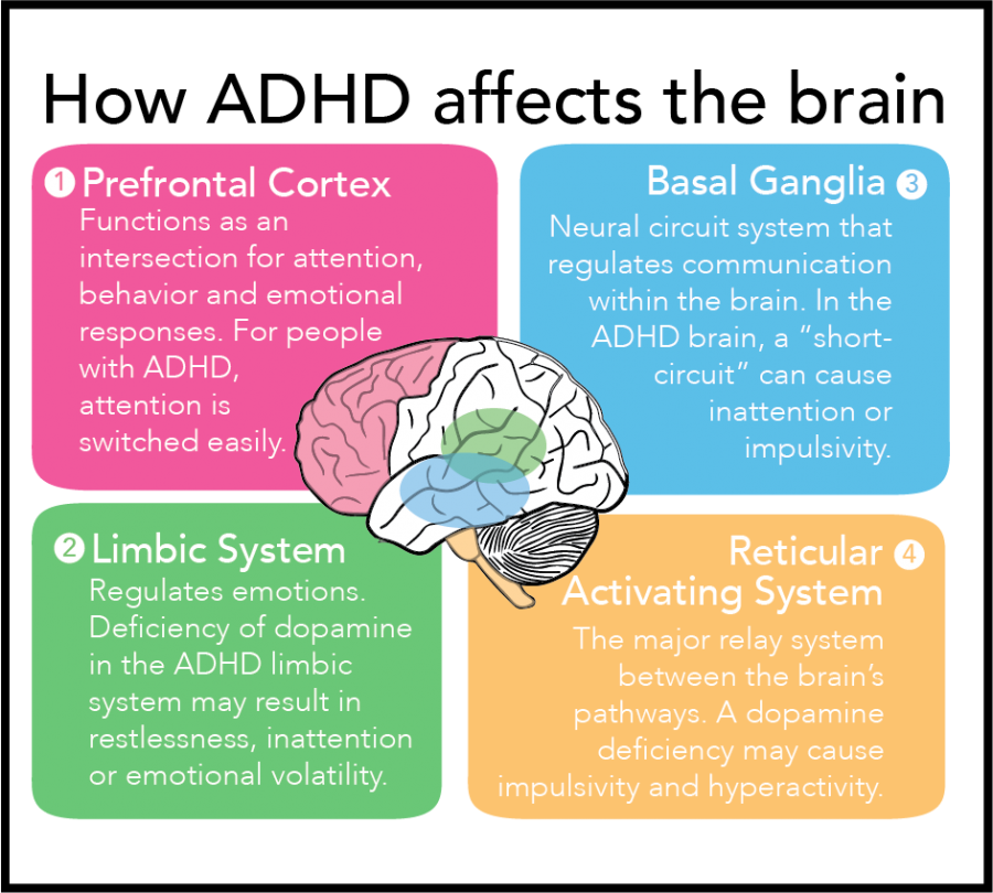 OPINION: Misbranded and misconceived, living with ADHD is different ...