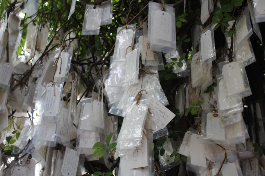 A cluster of prayers left by passerbys. There are many connected in groups around multiple limbs of the tree. 