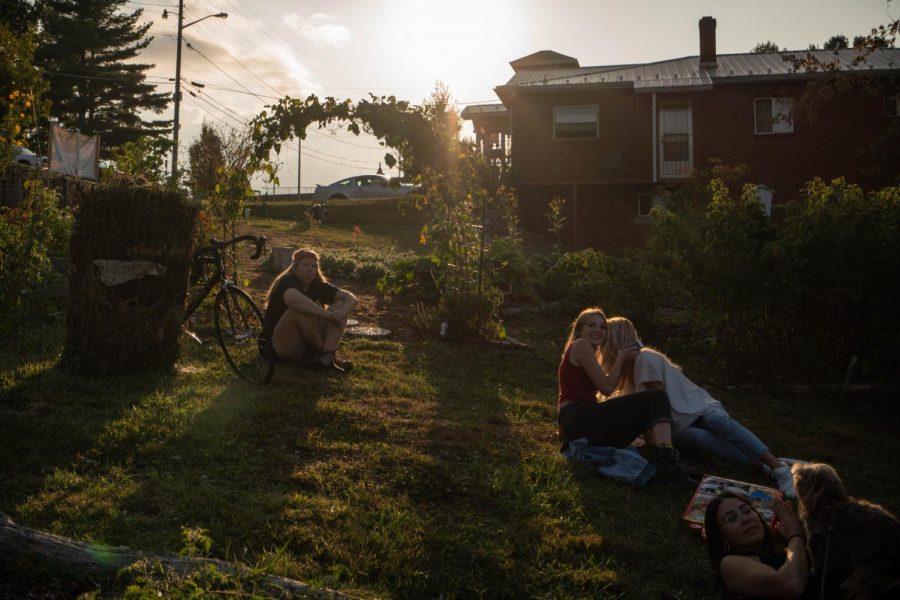 On-campus garden tries to maintain its roots despite its uncertain future