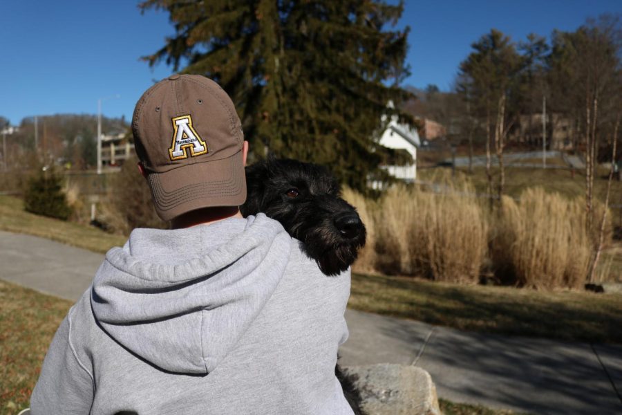 After an afternoon of fetch in Durham Park, 4-month-old Severus and his owner take a moment to embrace. Like many emotional support animals, Severus enjoys spending time and comforting their owner.