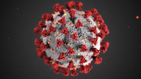 This illustration, created at the Centers for Disease Control and Prevention (CDC), reveals ultrastructural morphology exhibited by coronaviruses.A novel coronavirus, named Severe Acute Respiratory Syndrome coronavirus 2 (SARS-CoV-2), was identified as the cause of an outbreak of respiratory illness first detected in Wuhan, China in 2019