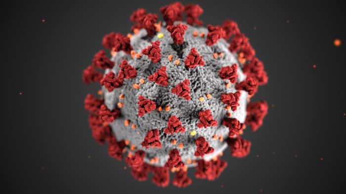 This illustration, created at the Centers for Disease Control and Prevention (CDC), reveals ultrastructural morphology exhibited by coronaviruses.A novel coronavirus, named Severe Acute Respiratory Syndrome coronavirus 2 (SARS-CoV-2), was identified as the cause of an outbreak of respiratory illness first detected in Wuhan, China in 2019