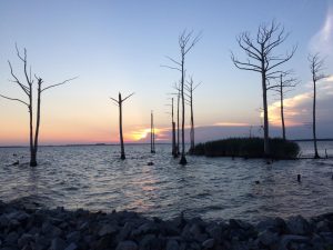 The sun sets along the Albemarle Sound in Camden County, N.C. The town is bridged to Elizabeth City by the Pasquotank River.