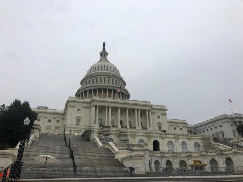 A pro-Trump mob stormed the U.S. Capitol Jan. 6 while Congress certified the election. Liberal and conservative members of the App State community have condemned the violence and mourn lives lost.