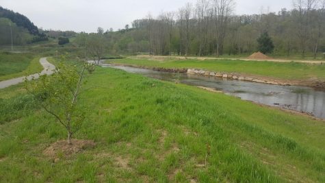 Land along the New River was formerly a dairy farm before the Town of Boone purchased it in 2016. A majority of the purchased land is protected conservation land, established to support the habitat. 