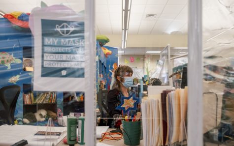 “It’s been like a little reunion”: Judith Winecoff, youth services librarian at the Watauga County Public Library, works at her desk behind plexiglass dividers to protect both employees and returning library patrons from COVID-19. 