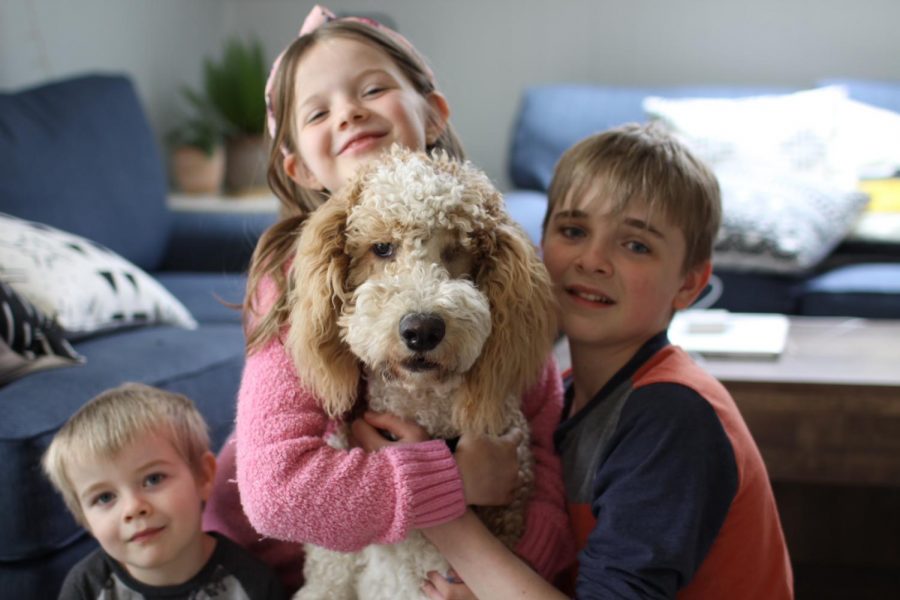 The three Delaney children with their Goldendoodle, Winky.