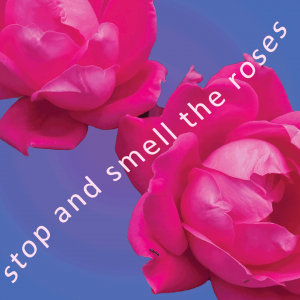 Playlist of the week: Stop and Smell the Roses