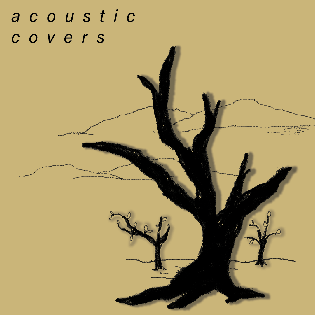 Playlist of the week: acoustic covers – The Appalachian