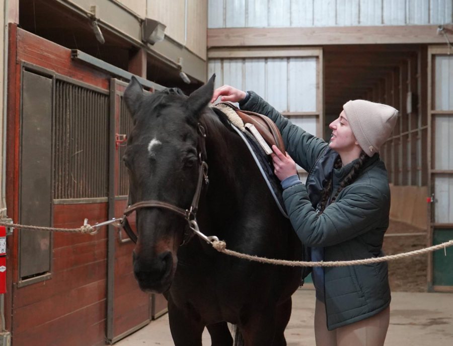 Vice President of the equestrian team, Grace Waugh, saddles a horse as the team prepares to ride Feb. 6, 2022.