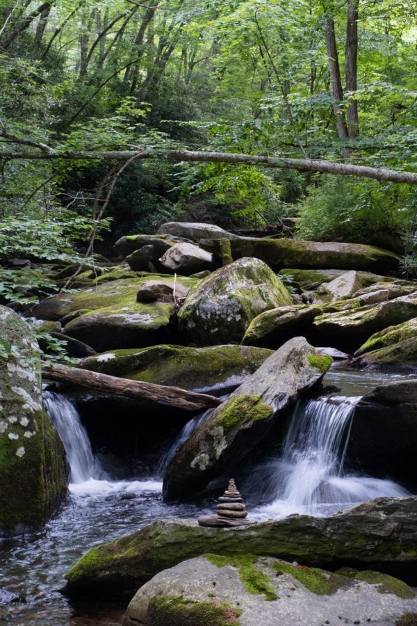 A shallower creek right off Winklers Creek Road on July 20, 2022 barricaded by tall trees. The smaller waterfalls bounce down the river past the stacked stones, opening up to a small swimming hole also featuring a rope swing. 