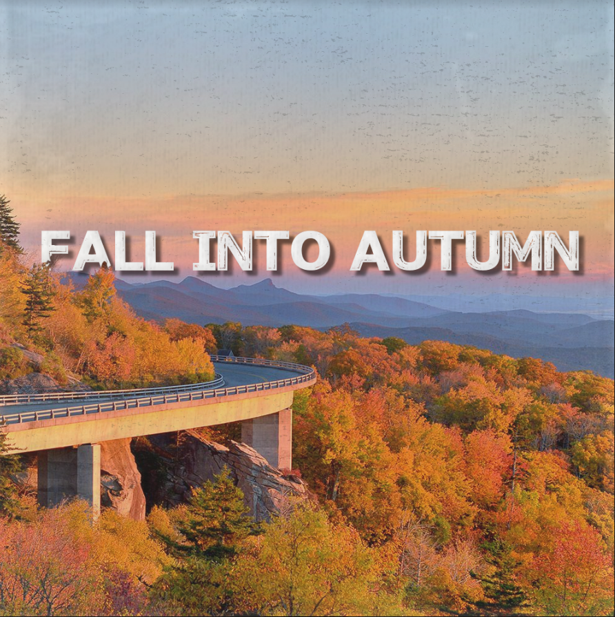 Fall into Autumn