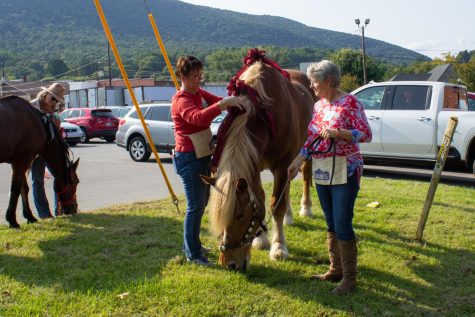 Laurie Moon stands to the left with Chief, the kissing horse. Barb Johnson, to the left of Doc, and Vicki Macut, to the right, straighten Doc’s bows and prepare him for his debut at the Southern Sun Farm Sanctuary’s book signing and live auction to fundraise for the sanctuary, Sept. 15th, 2022.