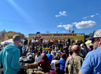 Banner Elk hosts 45th annual Woolly Worm Festival