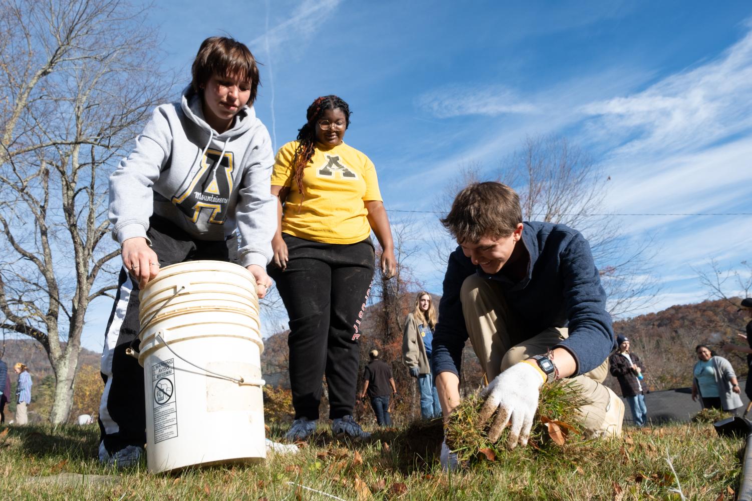 Historic Black cemetery given long-absent recognition – The Appalachian