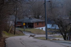 An empty road is occupied only by the crossing deer at the corner of Junaluska Road and Summit Road. The neighborhood is serenaded by birds chirping, wind chimes and the sound of your own feet.