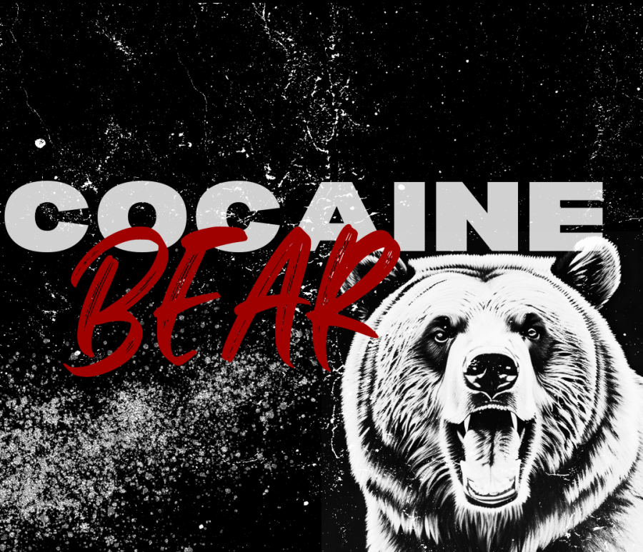 Paddington meets powder: Reviewing ‘Cocaine Bear’