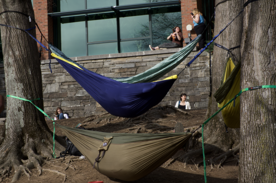 Hammocks set up on Sanford Mall in front of Plemmons Student Union on a sunny afternoon.