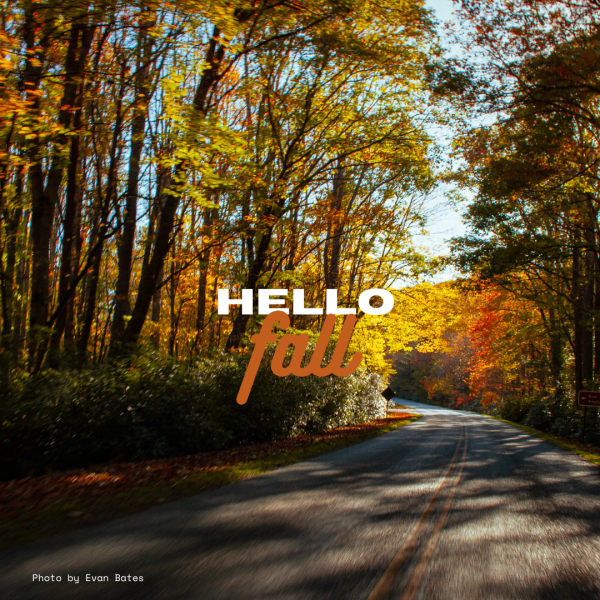 Playlist of the week: Hello Fall
