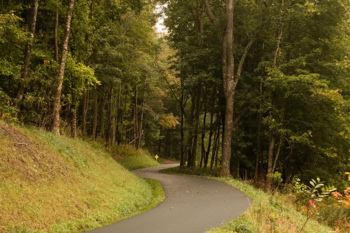 A winding trail at the Middle Fork Greenway off Blowing Rock Road. Sep. 27, 2023. 
