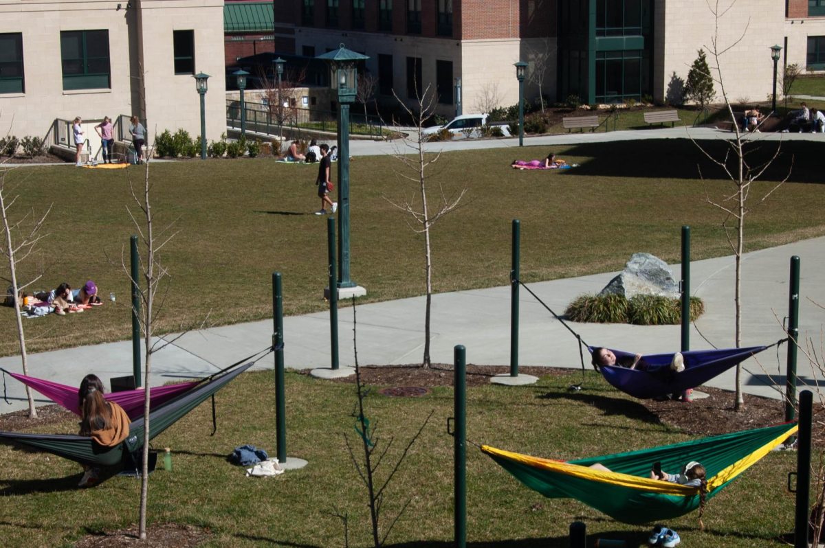 The courtyard nestled between Raven Rocks, Thunder Hill and Laurel Creek Residence Halls is a popular hangout spot on bright sunny days. Students sit back in hammocks on March 3. 