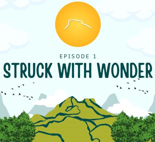 This Appalachian Life: Struck with wonder