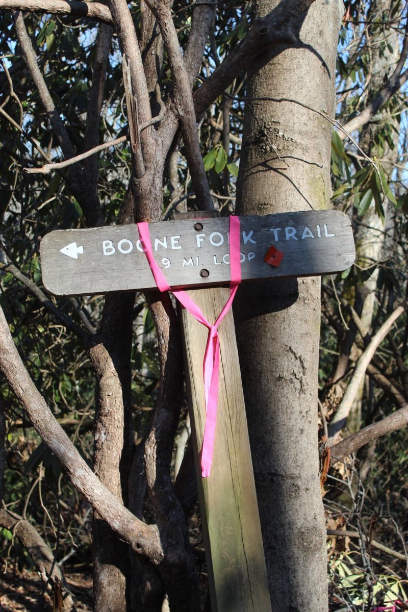 A fallen trail sign propped up against a tree that points in the direction of the continuation of the Boone Fork Trail on Feb. 9. 