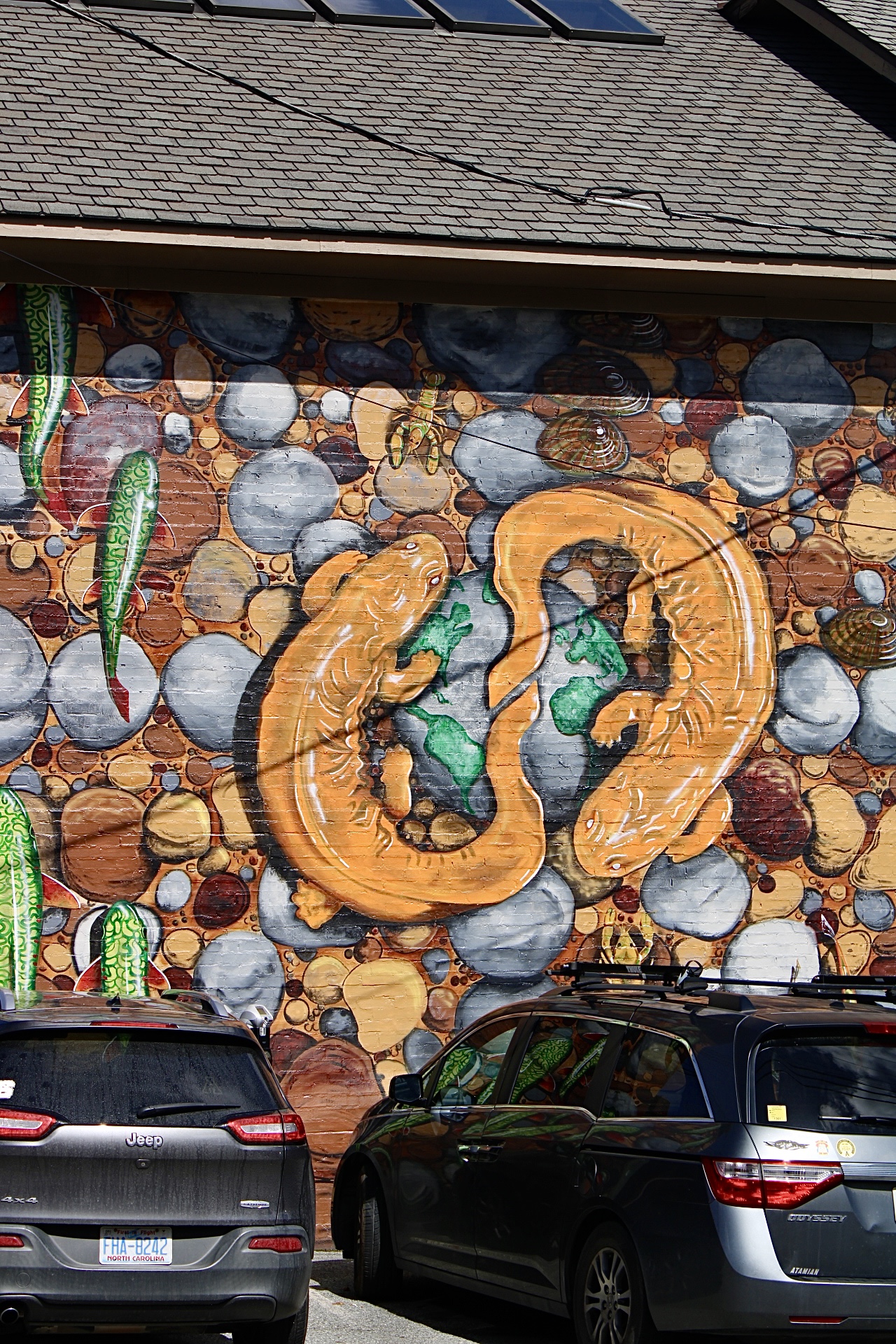 The hellbenders Mural by Josh Johnston in downtown Boone on March 5. This mural was the last in the “Endangered Species Mural Project” created by the Center for Biological Diversity.