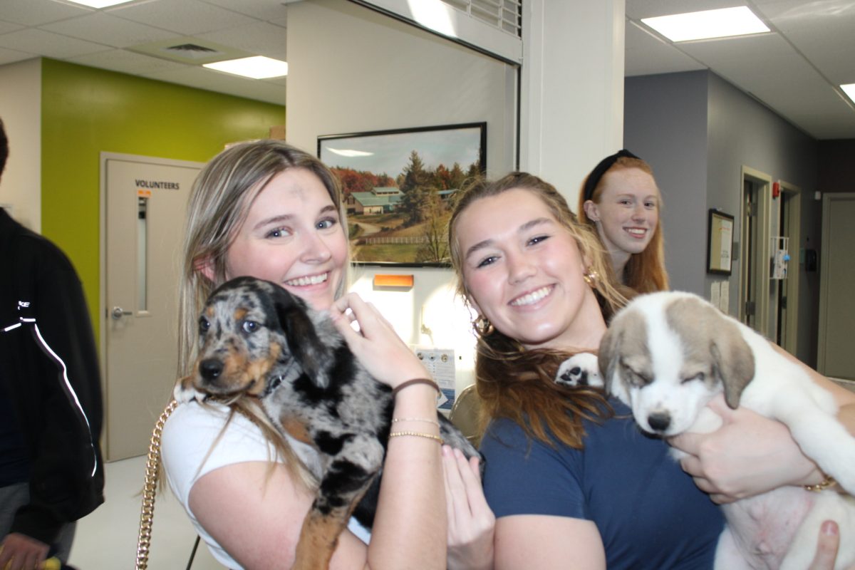 From left, Kappa Delta members Caroline Swart and Maggie Kennelly hold puppies at the Watauga Humane Society. Courtesy of Johnny Vo.