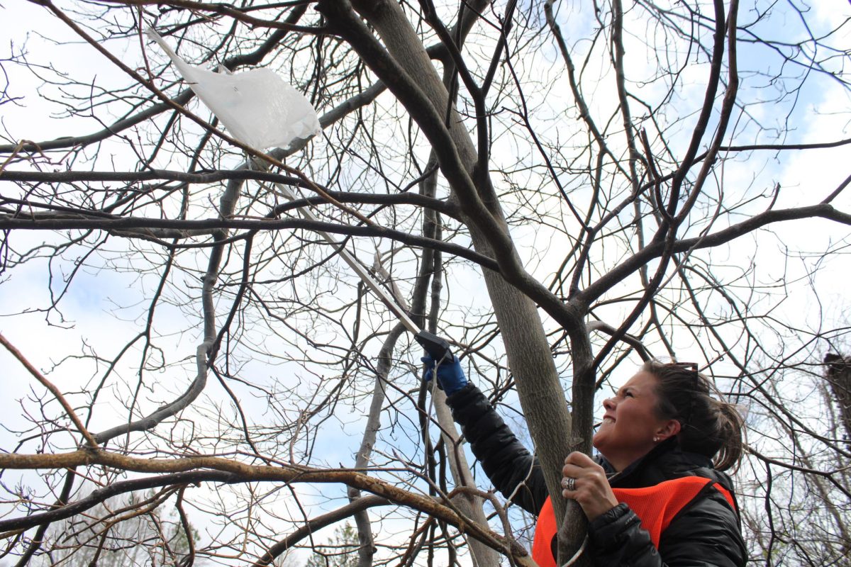 Downtown Development Coordinator Lane Moody reaches to grab plastic hanging from a tree during Boone Clean-up Day on April 12.