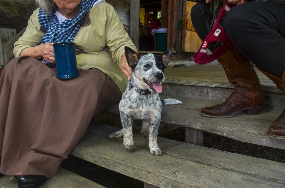 Chair of the Southern Appalachian Historical Association, Mary Greene and the youngest visitor to Hickory Ridge: Laska, a three-month-old Blue Heeler on Sept. 6.