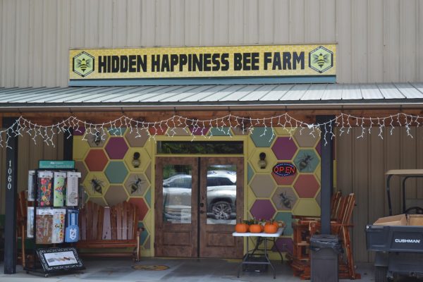 Annual High Country Bee Fest is buzzing for bee conservation