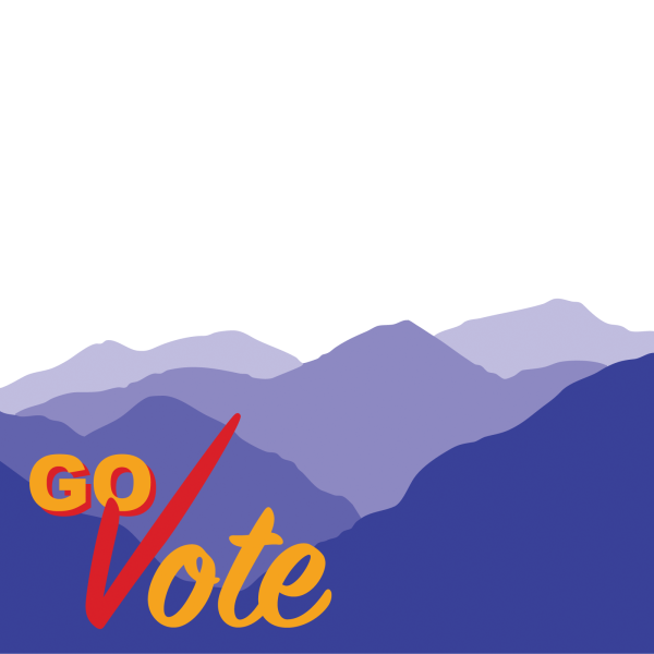 OPINION: You should be voting in local elections