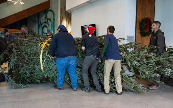 Grandfather Mountain staff carry the tree into the Wilson Center for Nature Discovery on Nov. 21.