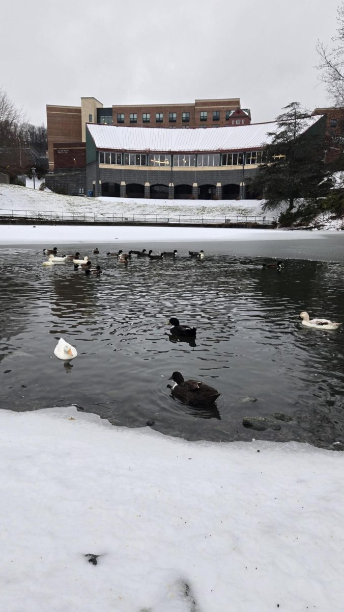 A blanket of snow covers the ground surrounding App State's Duck Pond on Jan. 25.