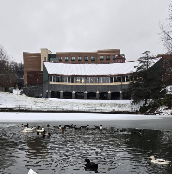 A blanket of snow covers the ground surrounding App State's Duck Pond on Jan. 25.